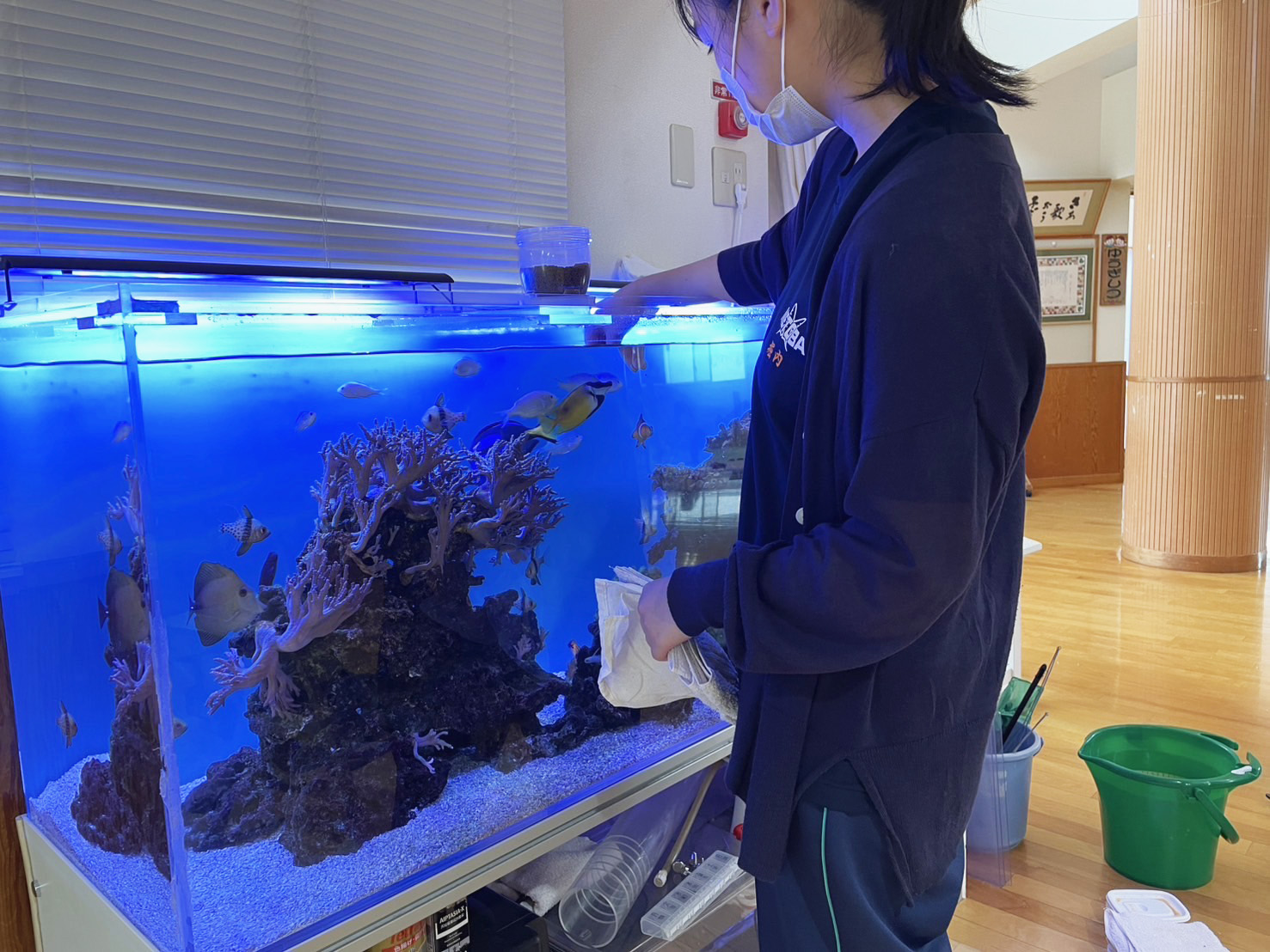 魚への餌やり